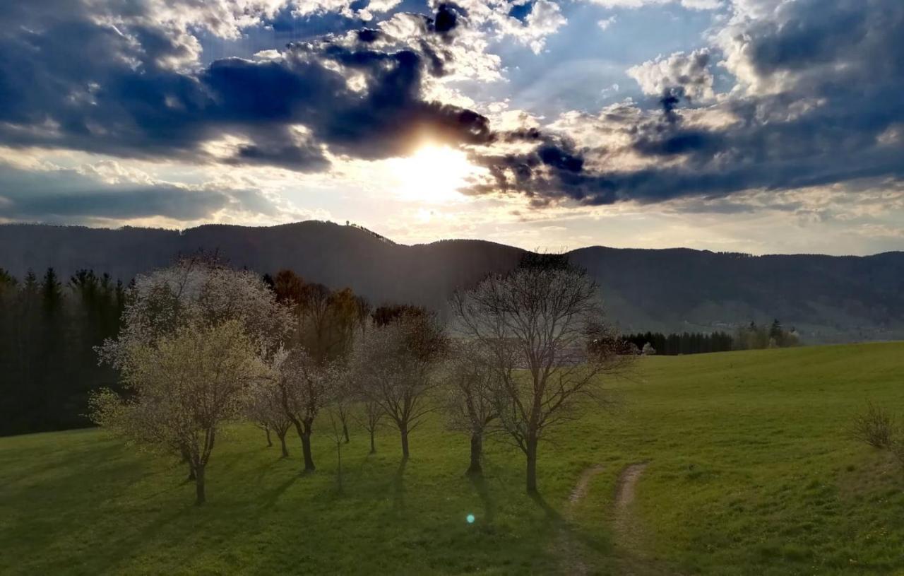 Pension Irlingerhof Mondsee Bagian luar foto